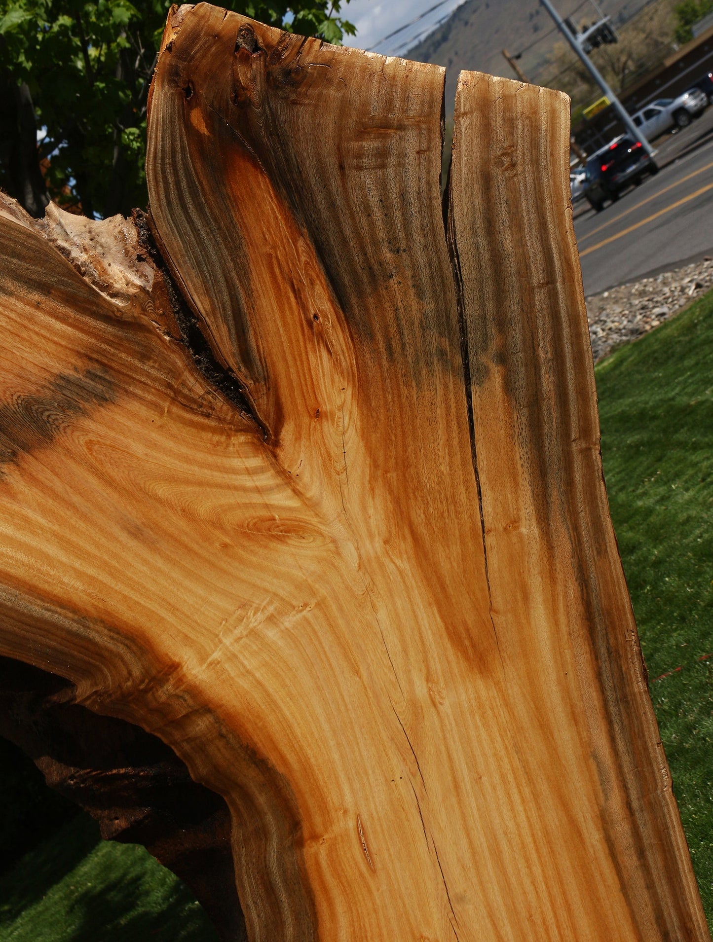 Hackberry Live Edge Slab