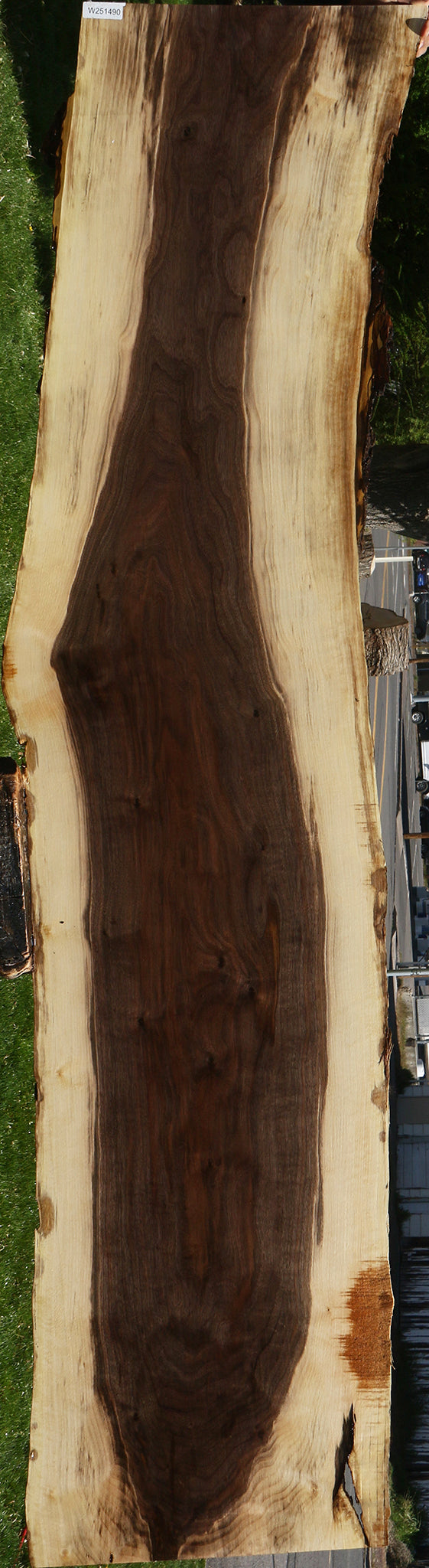 Claro Walnut Live Edge Slab