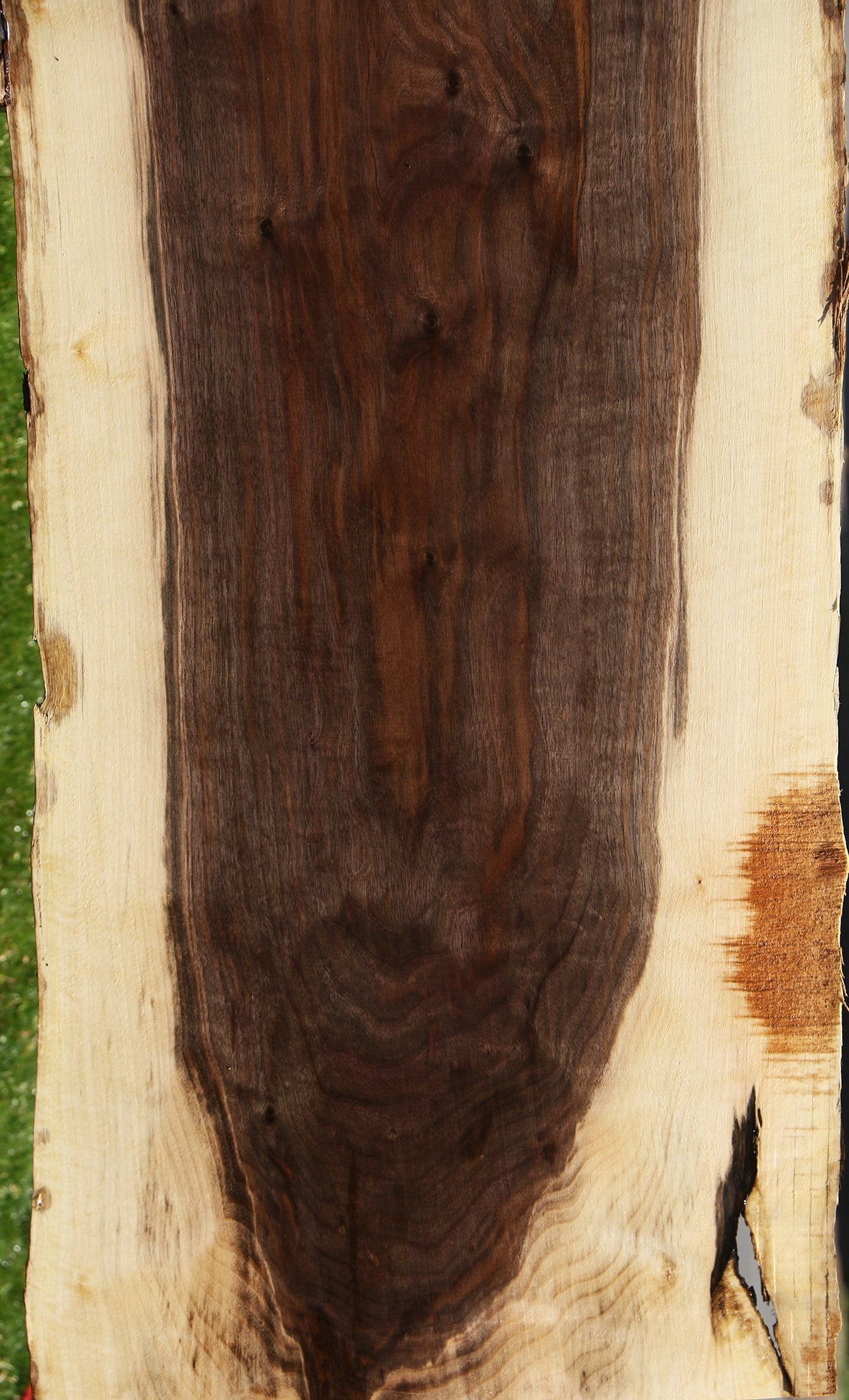 Claro Walnut Live Edge Slab