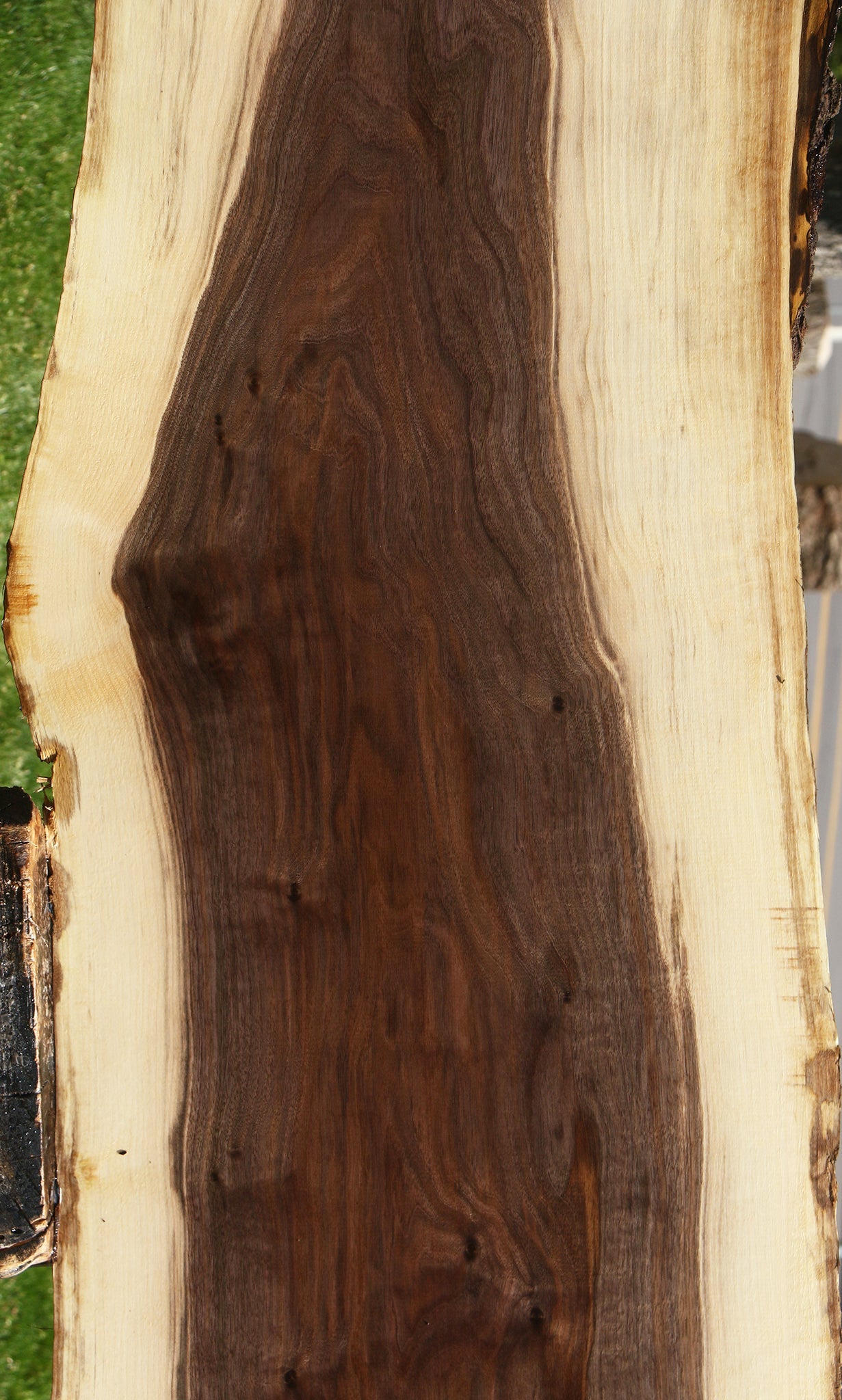 Claro Walnut Live Edge Slab