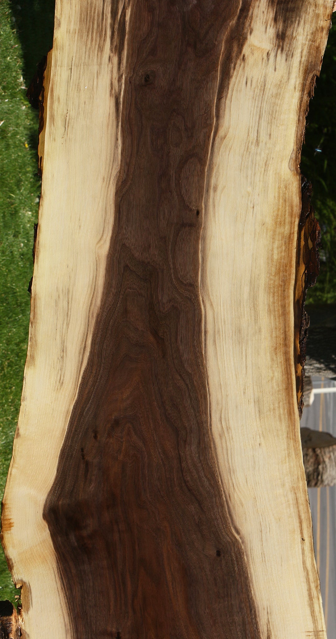 Claro Walnut Live Edge Slab