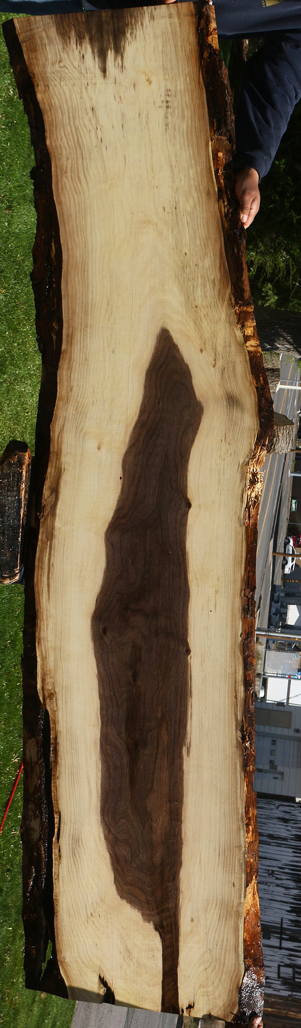 Claro Walnut Live Edge Slab