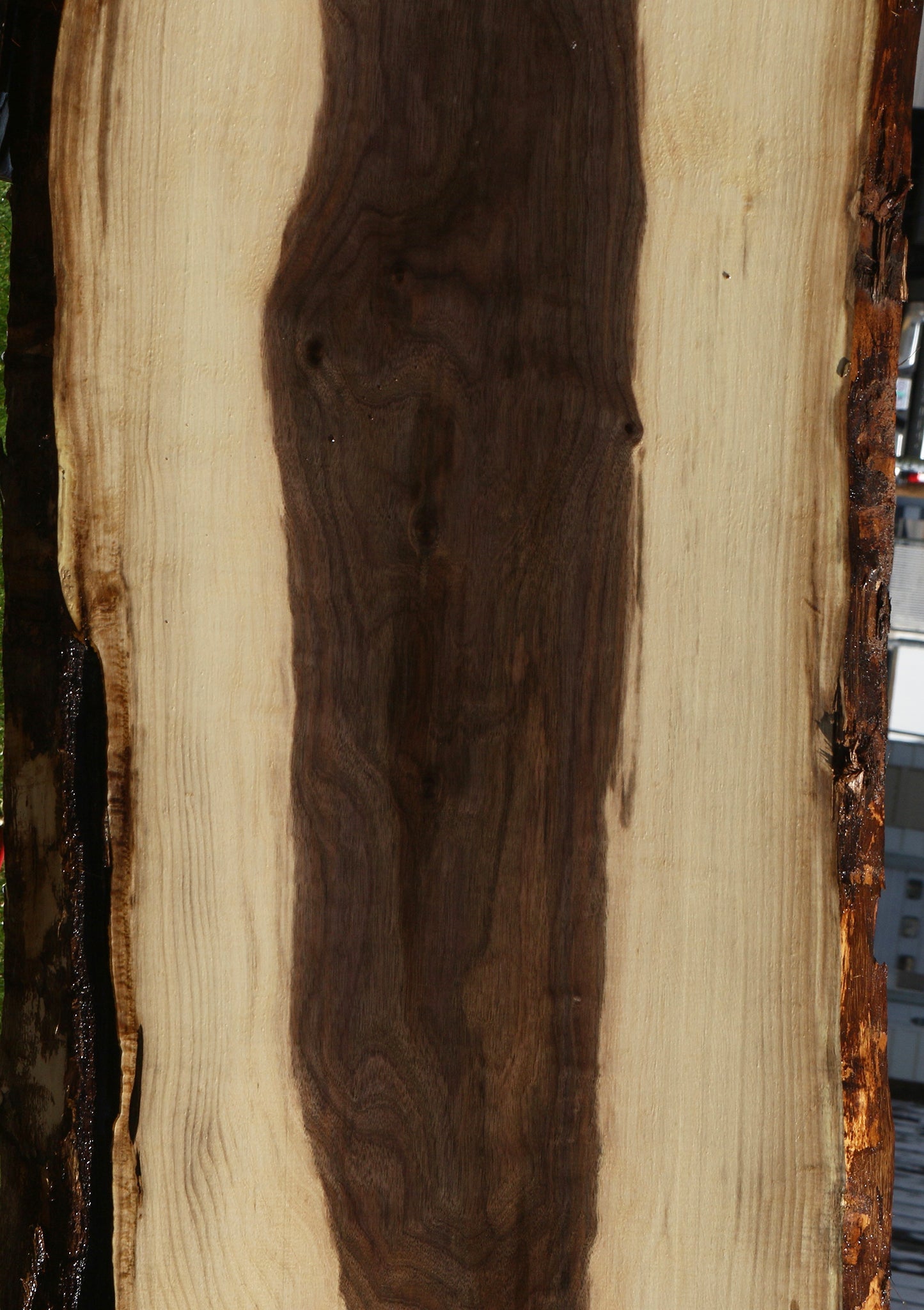 Claro Walnut Live Edge Slab
