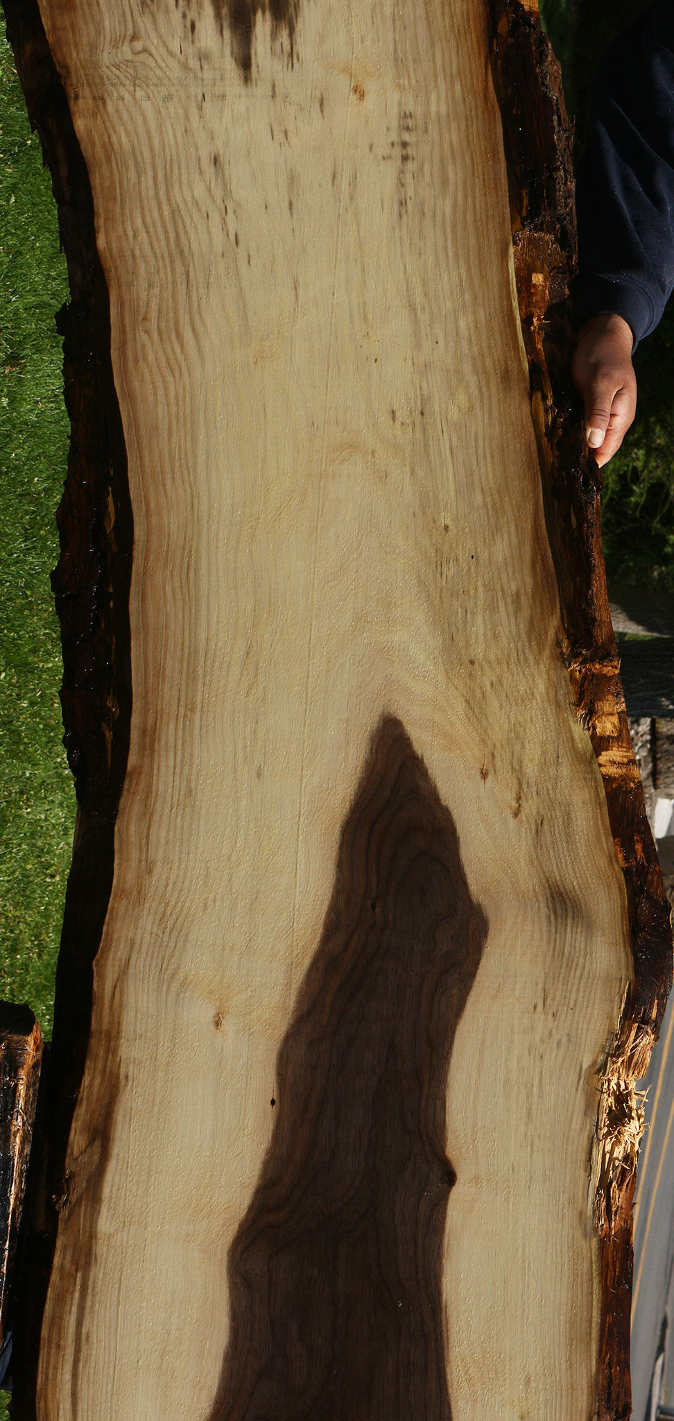 Claro Walnut Live Edge Slab