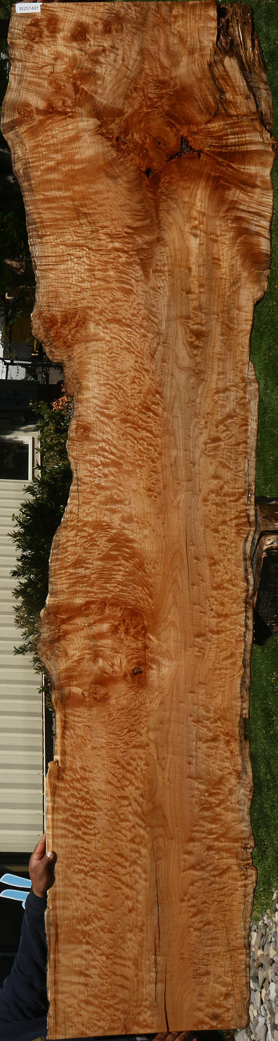 Extra Fancy Rustic Maple Live Edge Slab
