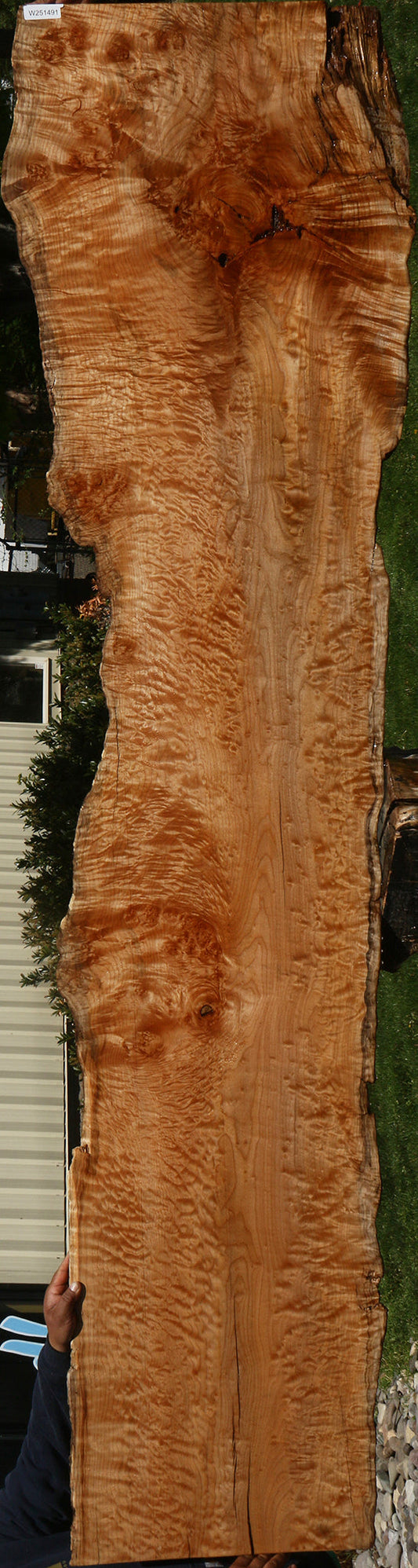 Extra Fancy Rustic Maple Live Edge Slab