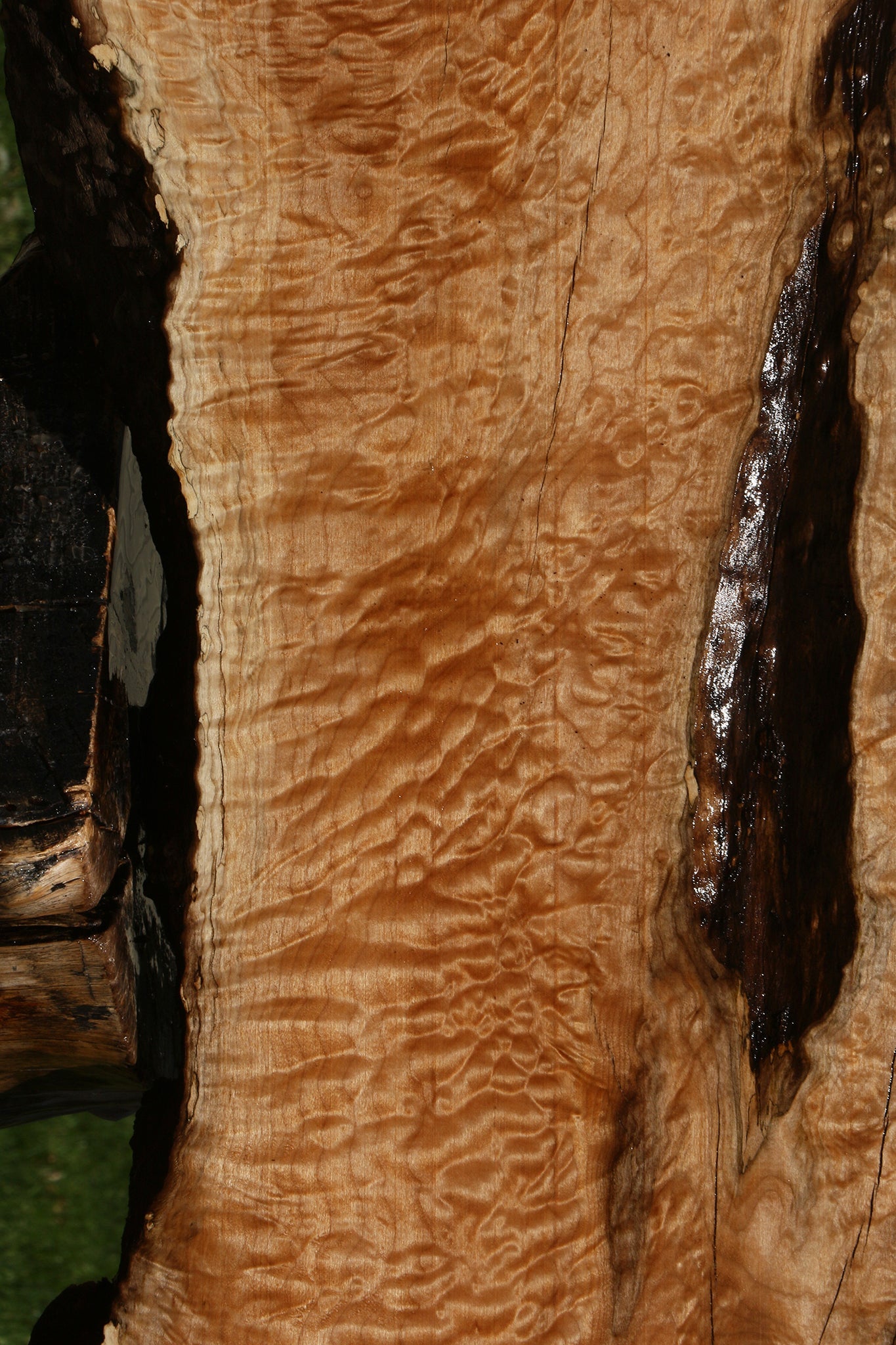 Extra Fancy Rustic Maple Live Edge Slab