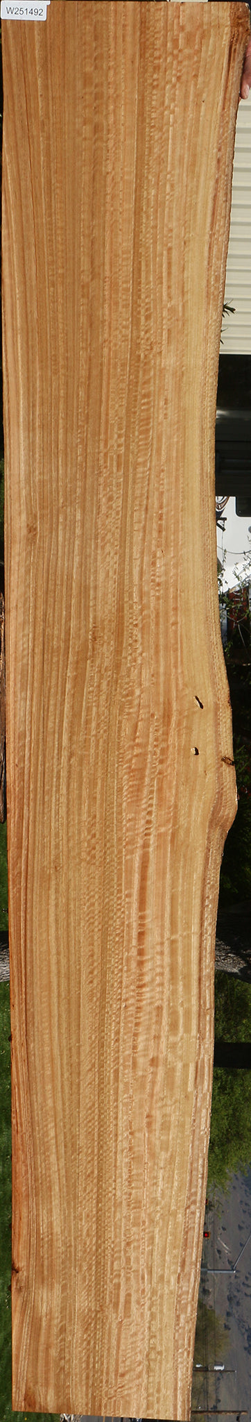 Figured Eucalyptus Live Edge Slab (Free Shipping Excluded)