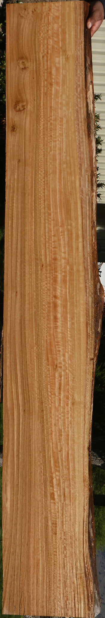 Figured Eucalyptus Live Edge Slab (Free Shipping Excluded)