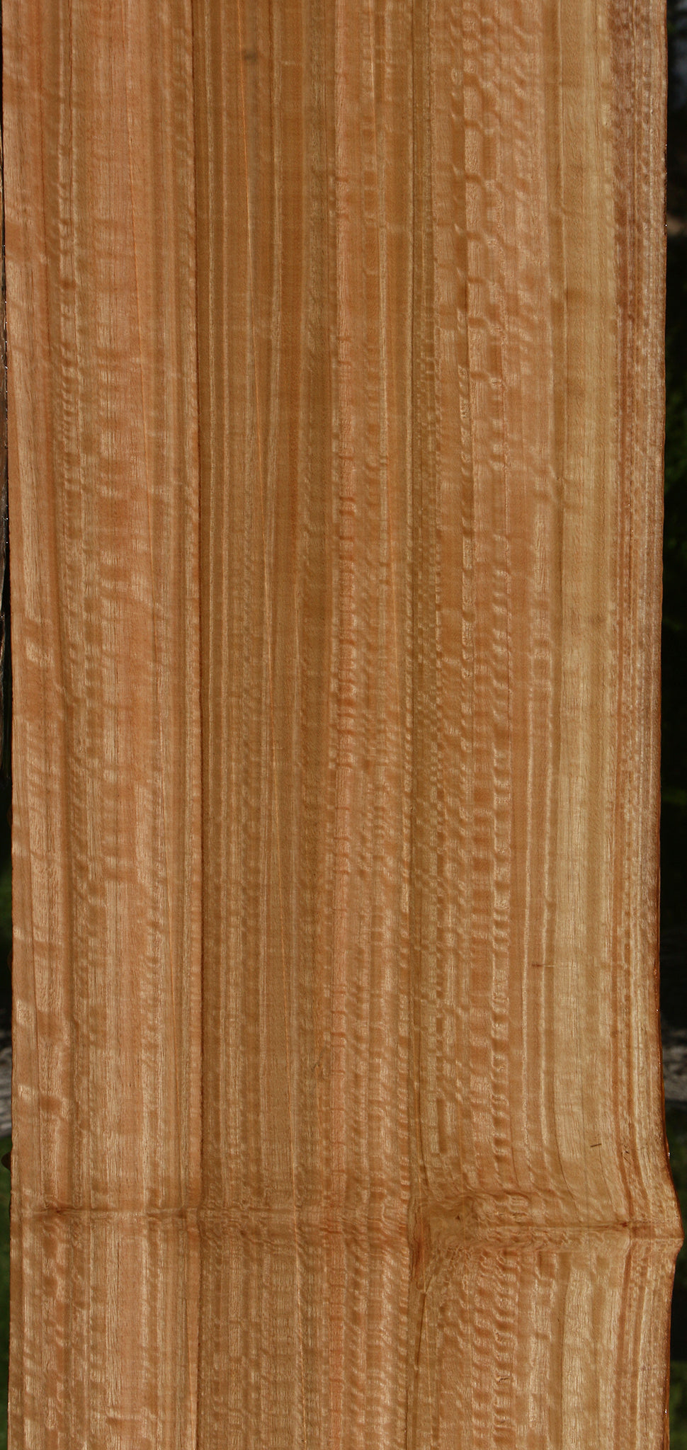 Extra Fancy Quartersawn Eucalyptus Live Edge Slab
