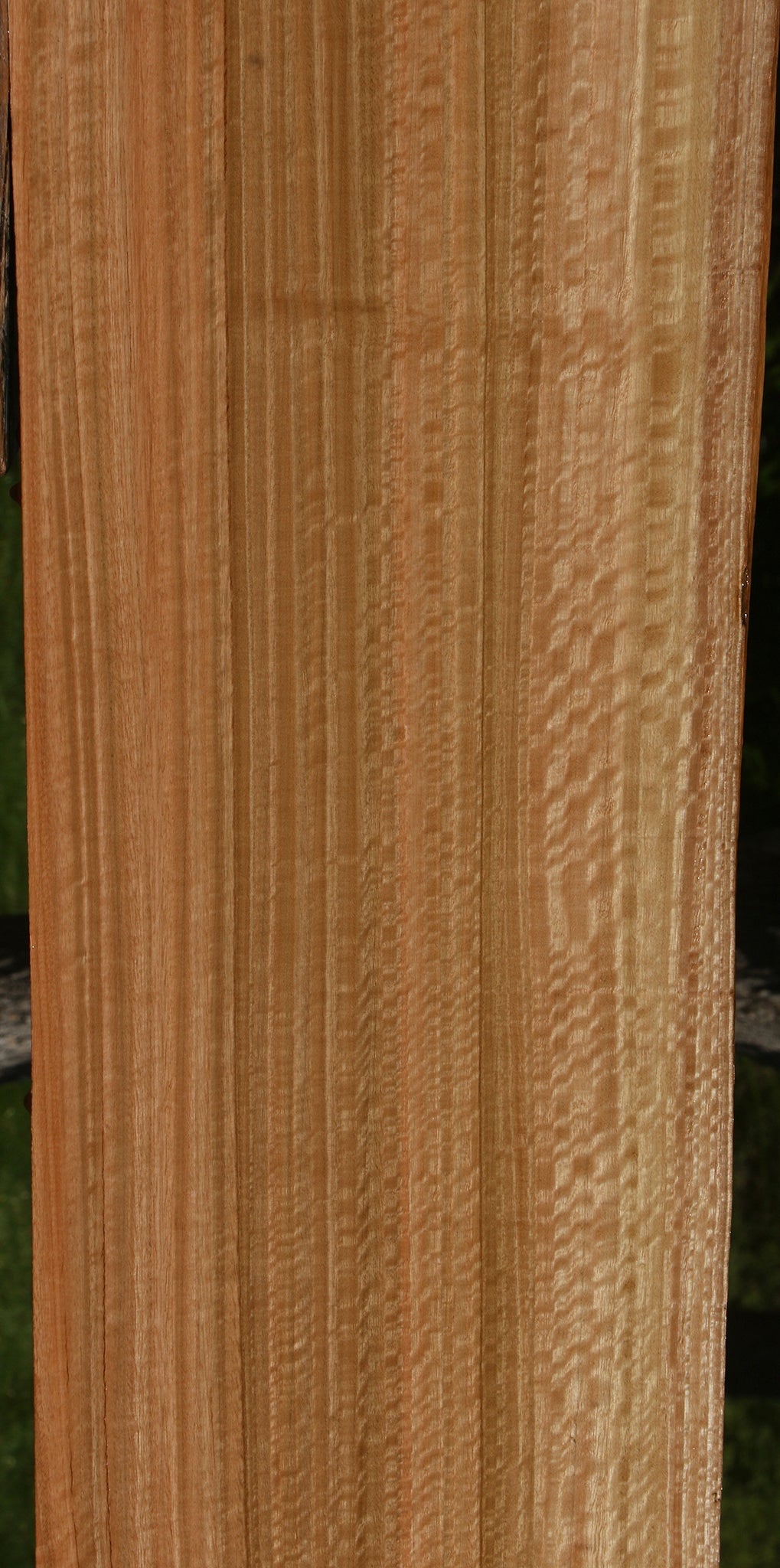 Extra Fancy Quartersawn Eucalyptus Live Edge Slab