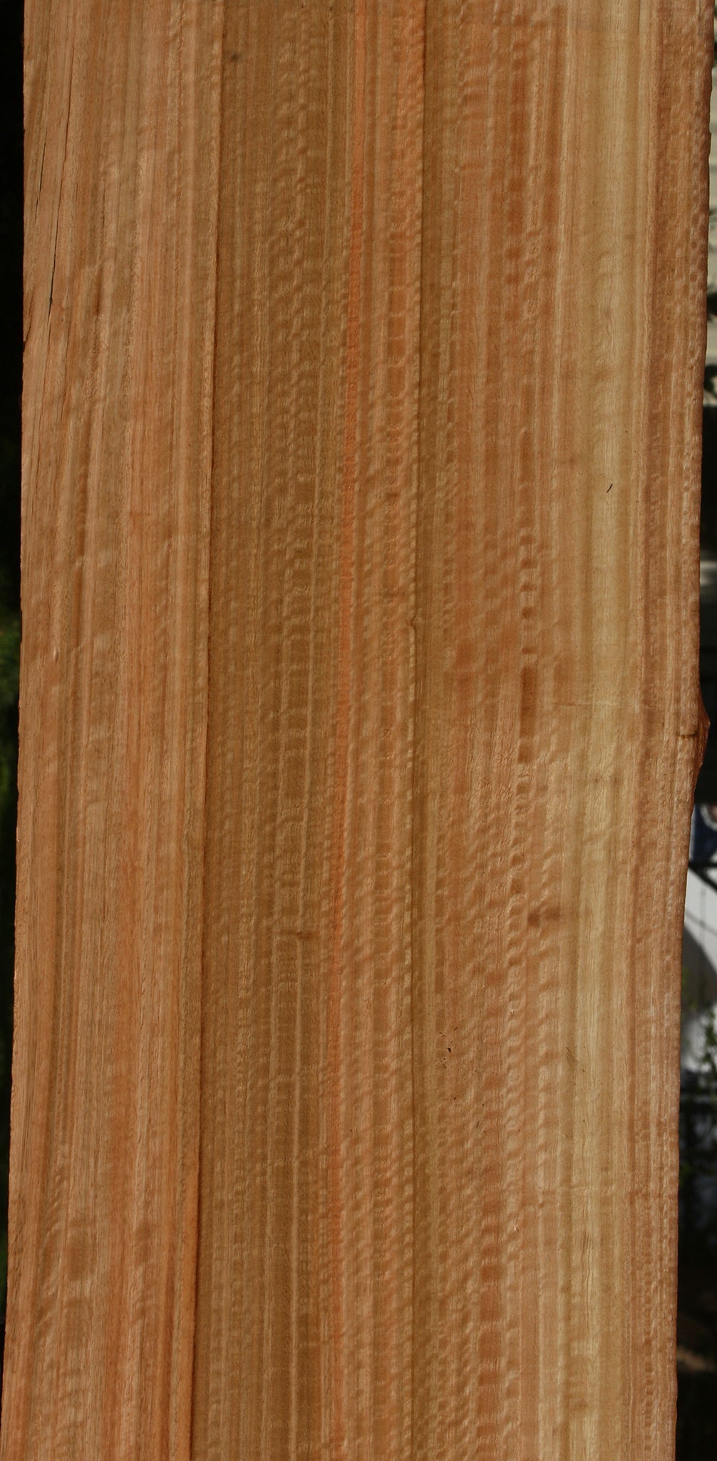 Extra Fancy Quartersawn Eucalyptus Live Edge Slab