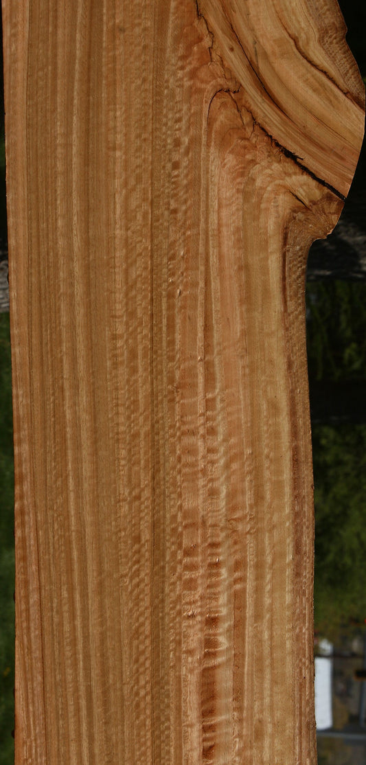 Extra Fancy Quartersawn Eucalyptus Live Edge Slab