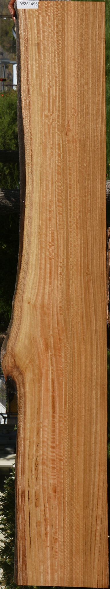 Extra Fancy Quartersawn Eucalyptus Live Edge Slab