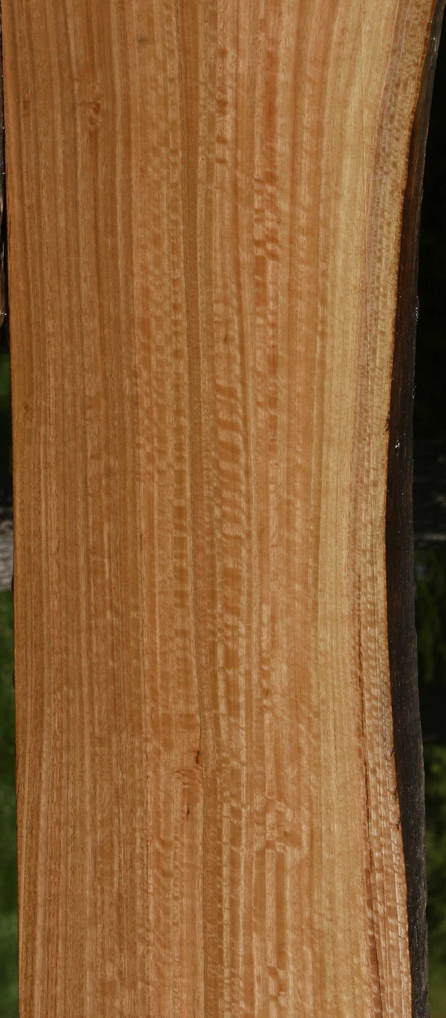 Extra Fancy Quartersawn Eucalyptus Live Edge Slab