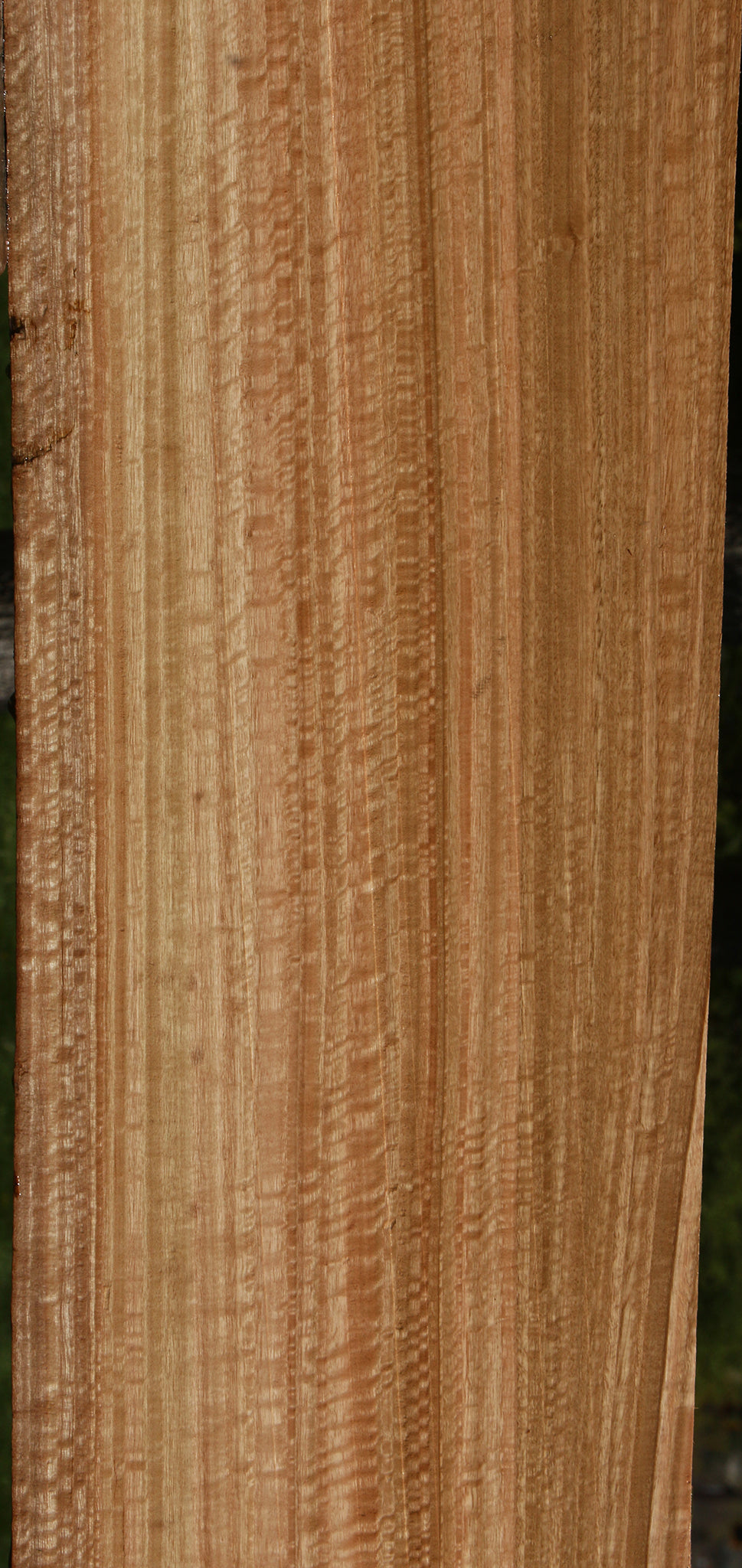 Extra Fancy Quartersawn Eucalyptus Live Edge Slab