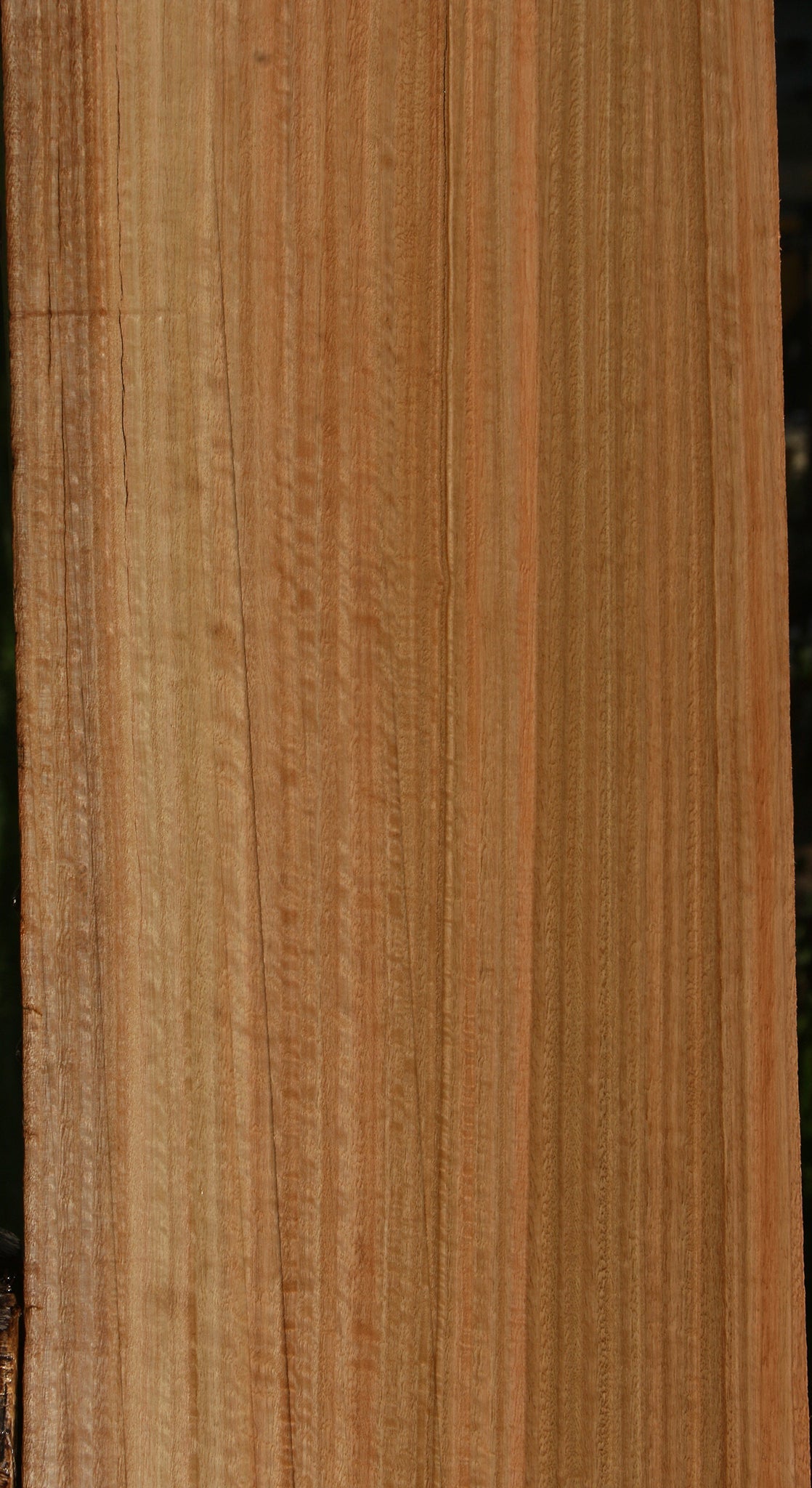 Extra Fancy Quartersawn Eucalyptus Live Edge Slab