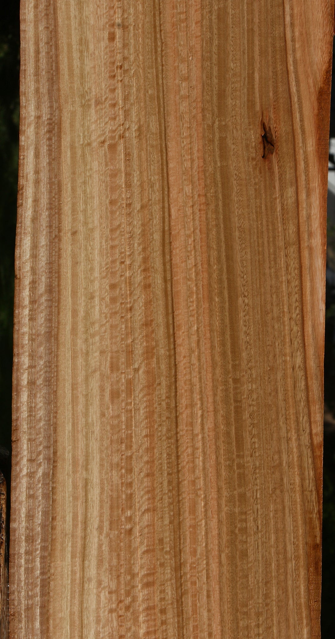 Extra Fancy Quartersawn Eucalyptus Live Edge Slab