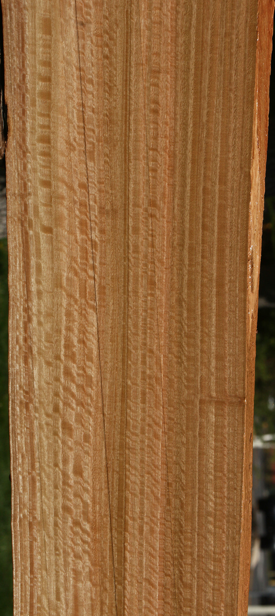 Figured Rustic Eucalyptus Live Edge Slab