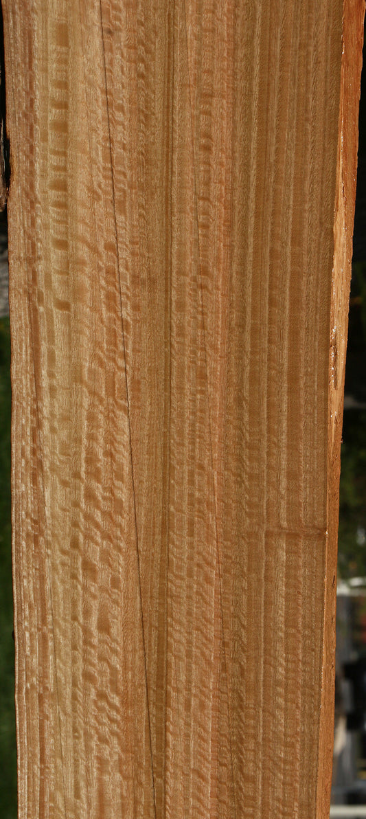 Figured Rustic Eucalyptus Live Edge Slab