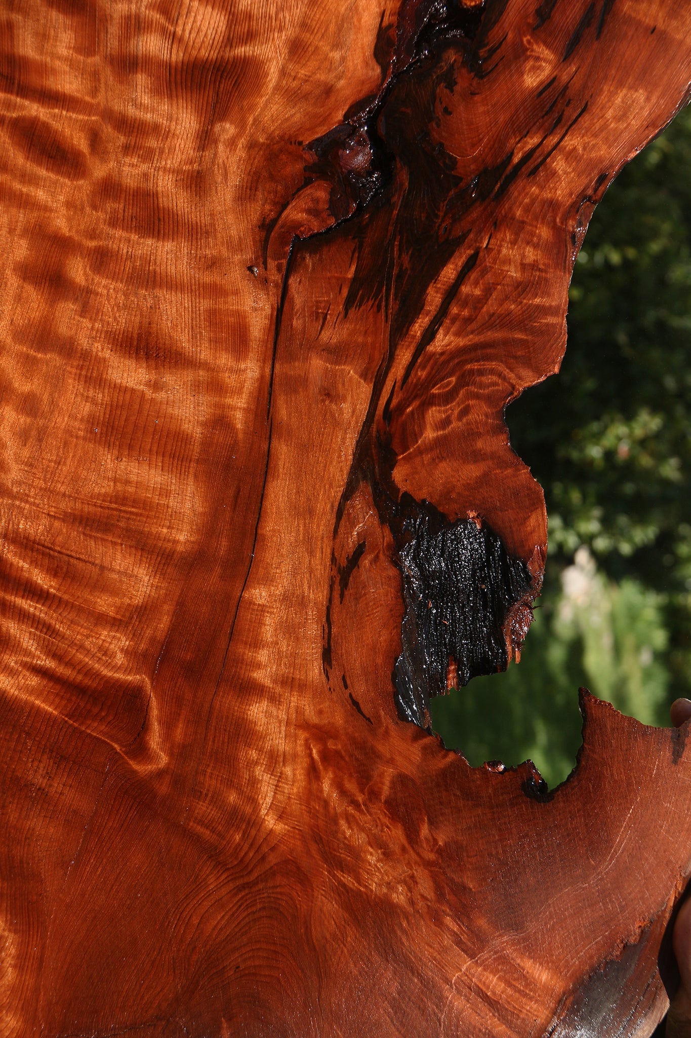 Extra Fancy Rustic Redwood Live Edge Slab