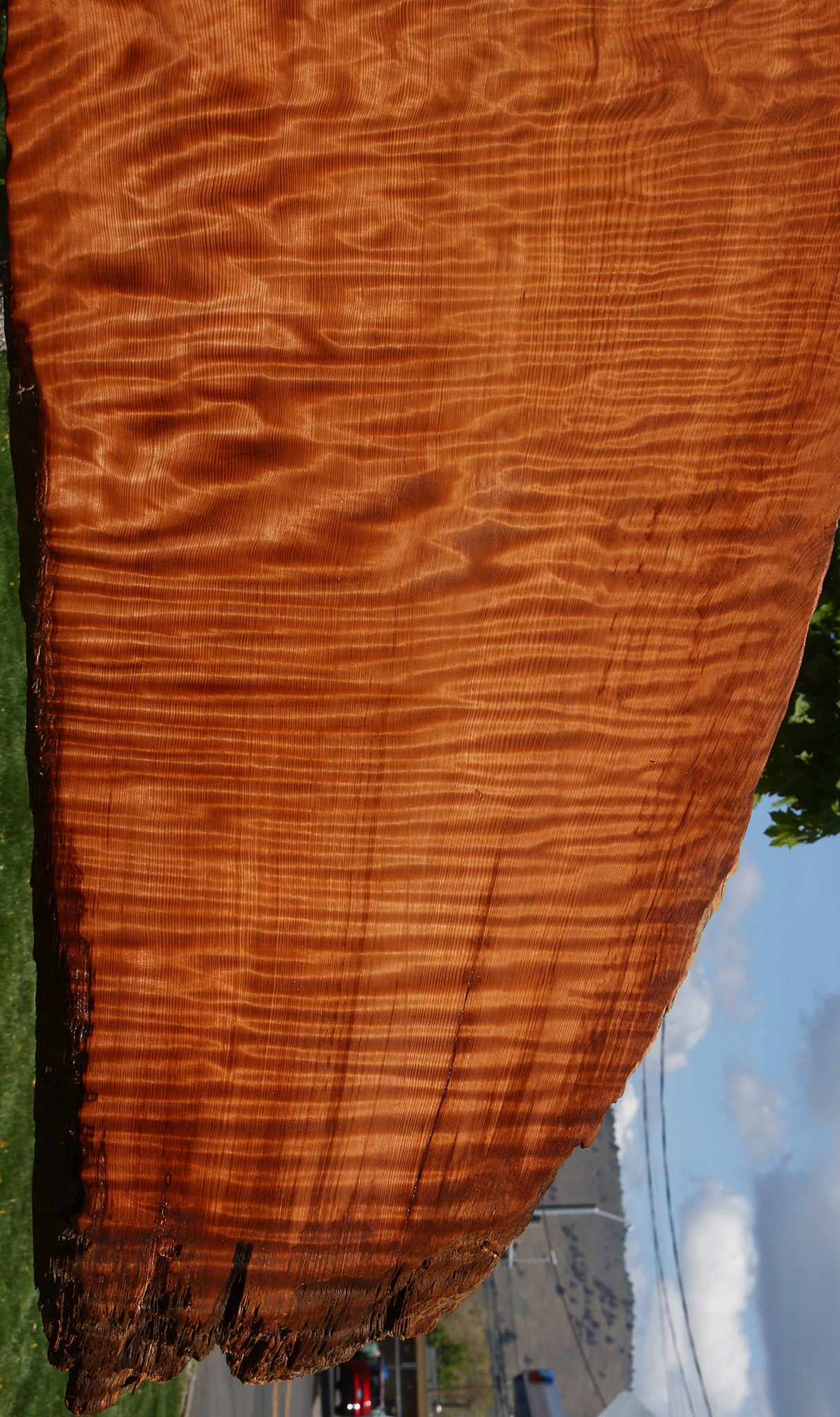 Extra Fancy Rustic Redwood Live Edge Slab