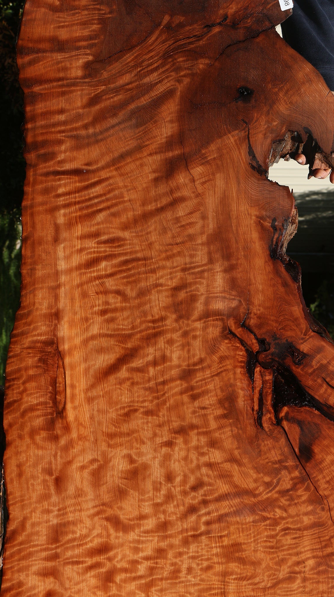 Extra Fancy Rustic Redwood Live Edge Slab