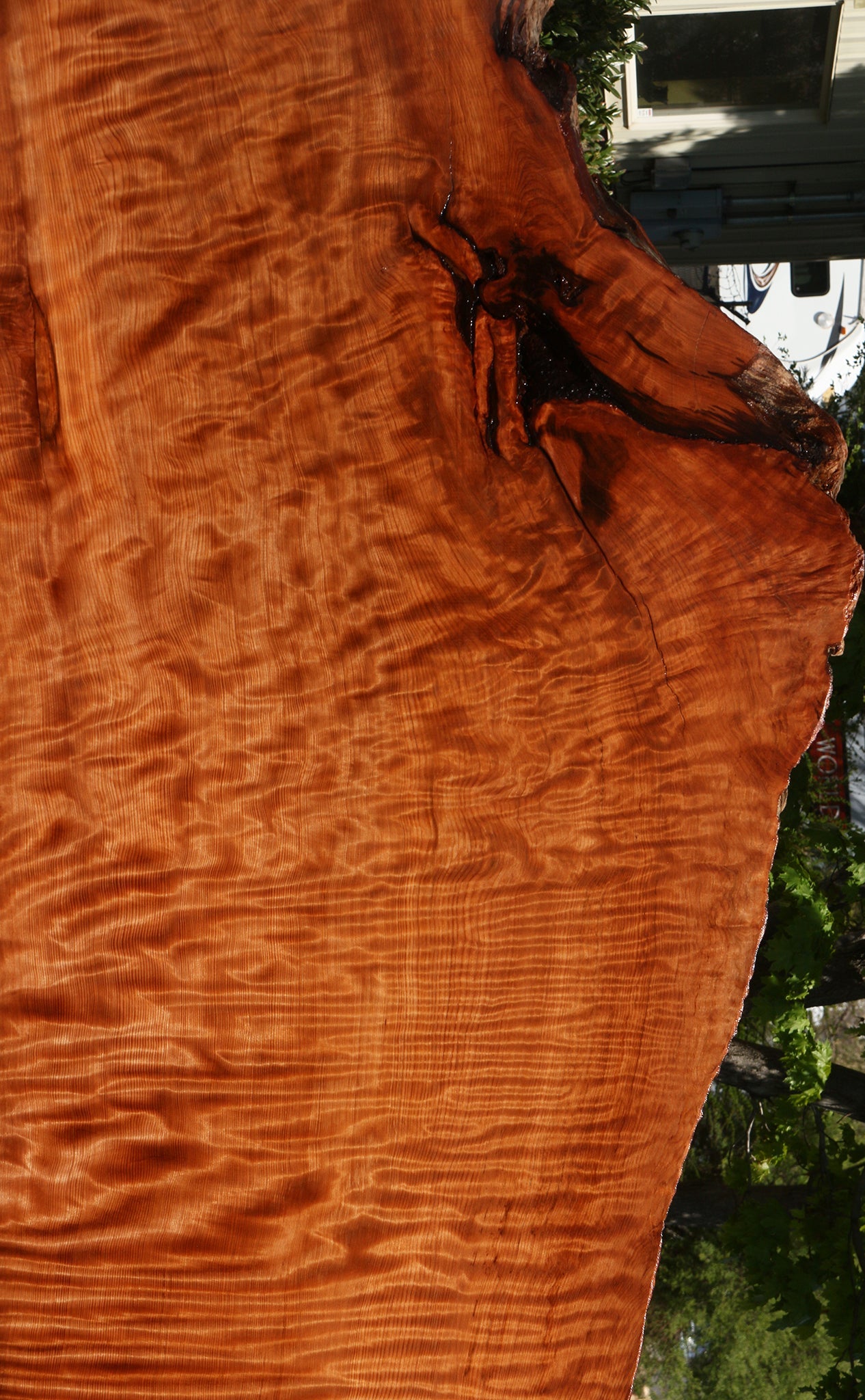 Extra Fancy Rustic Redwood Live Edge Slab