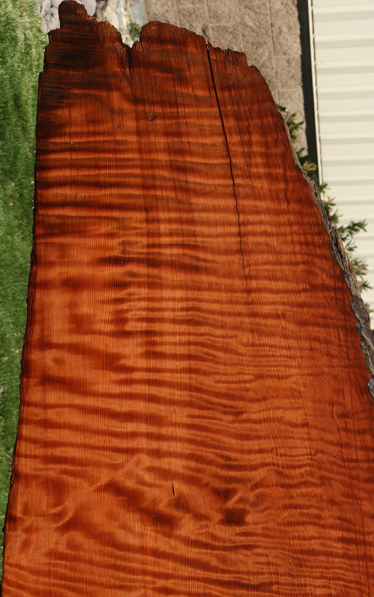 Extra Fancy Rustic Redwood Live Edge Slab