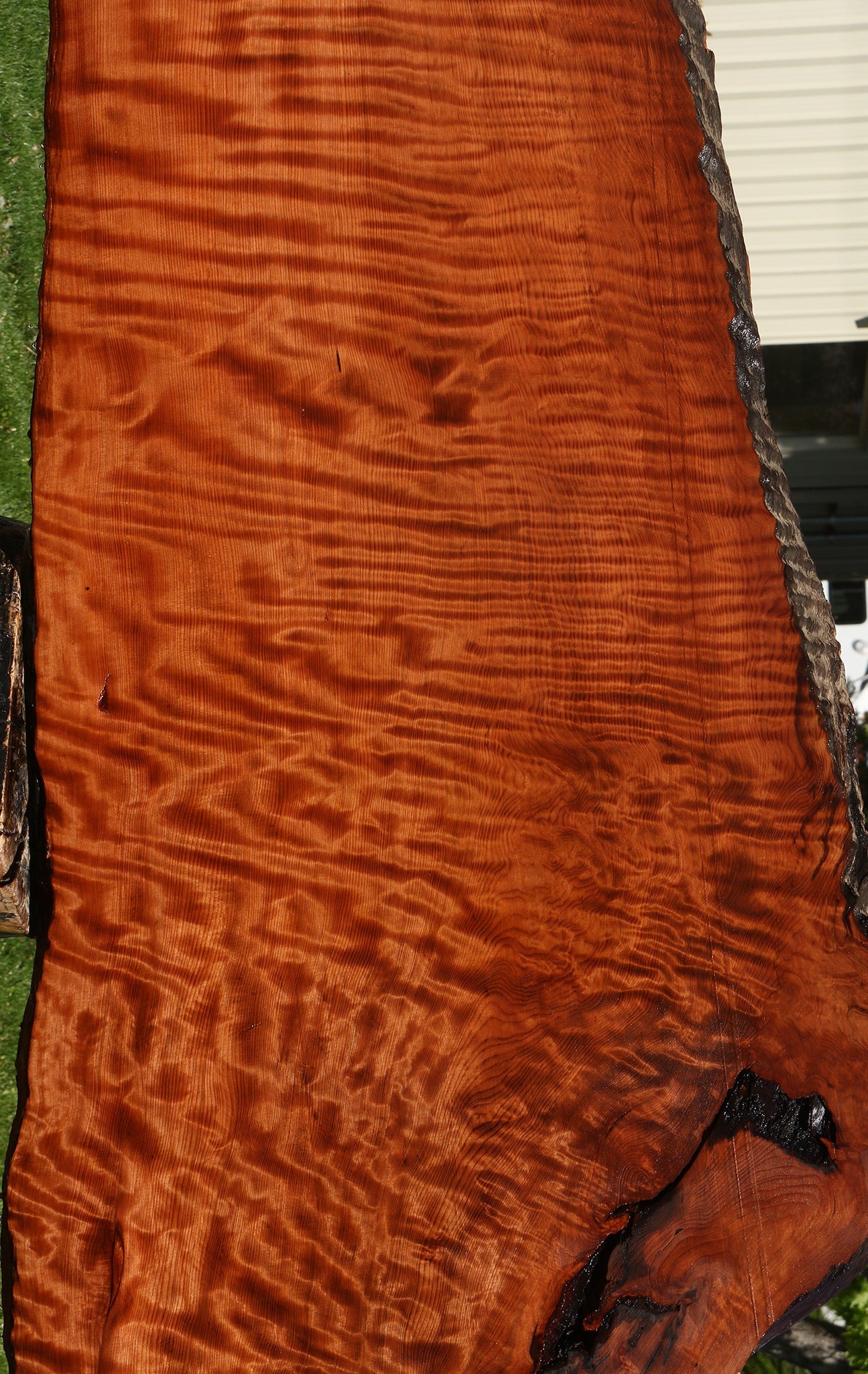 Extra Fancy Rustic Redwood Live Edge Slab