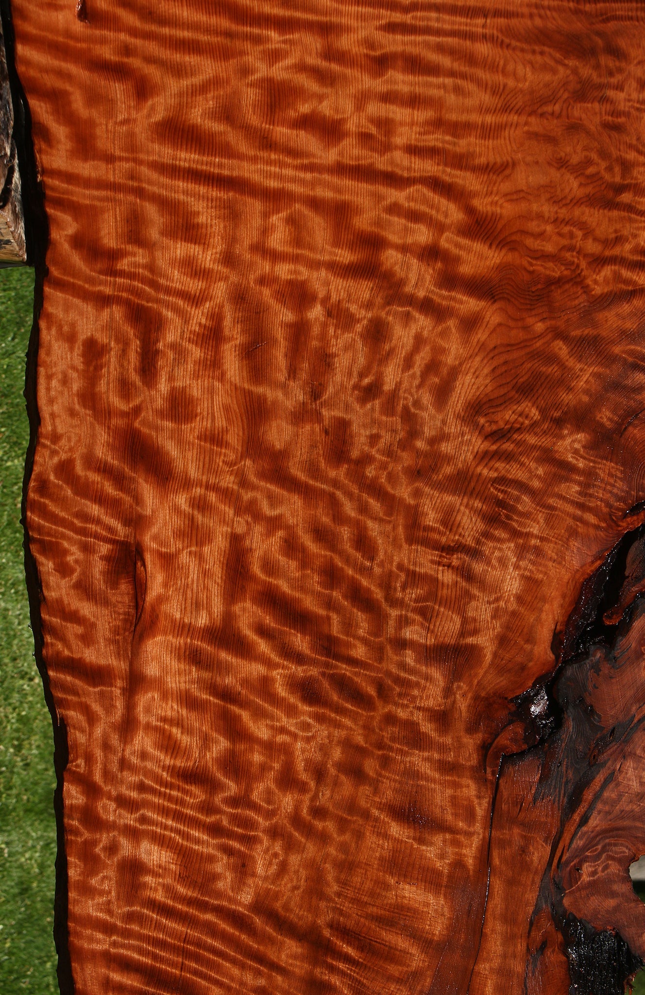 Extra Fancy Rustic Redwood Live Edge Slab