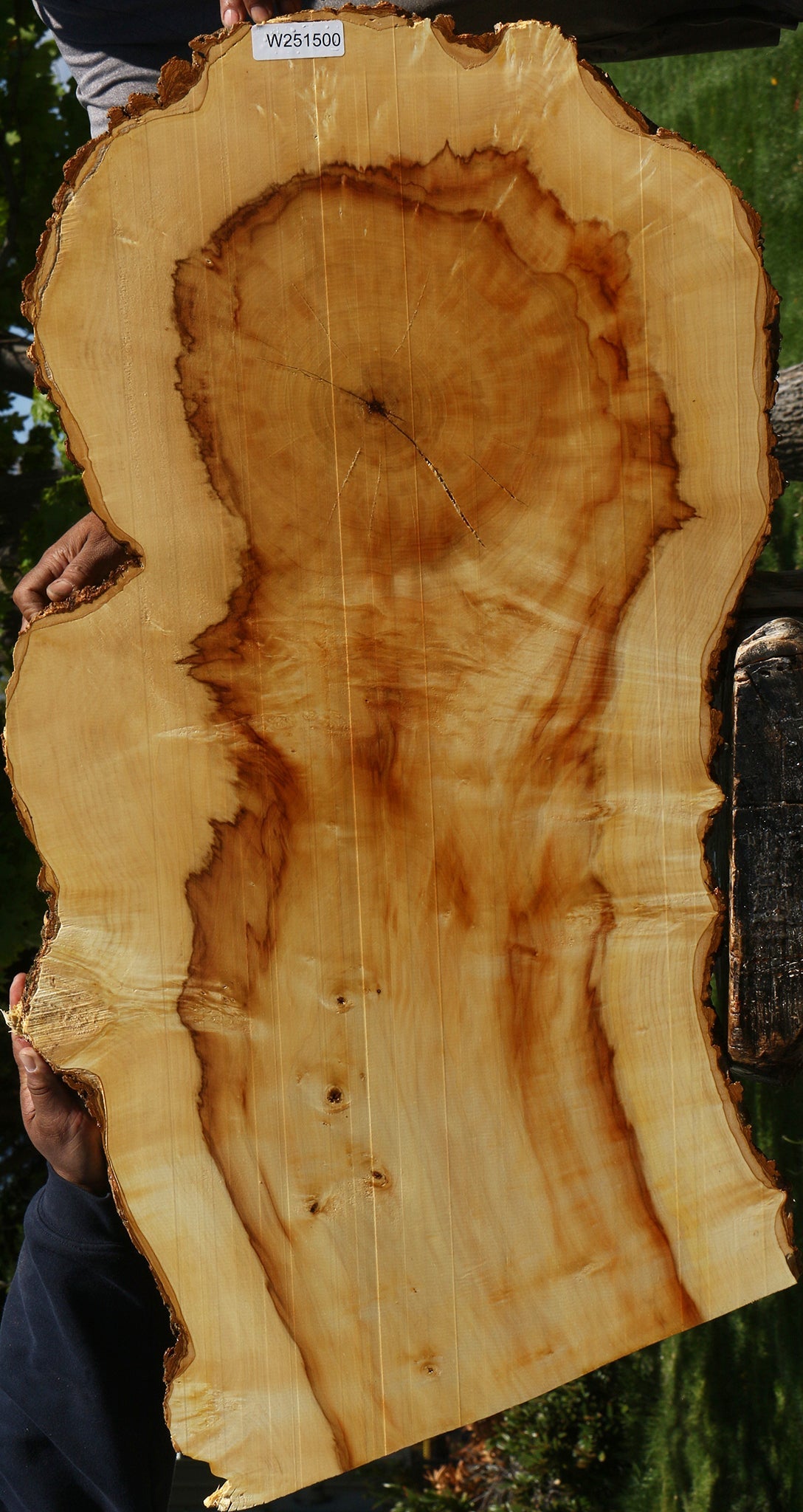 Box Elder Live Edge Mini Slab