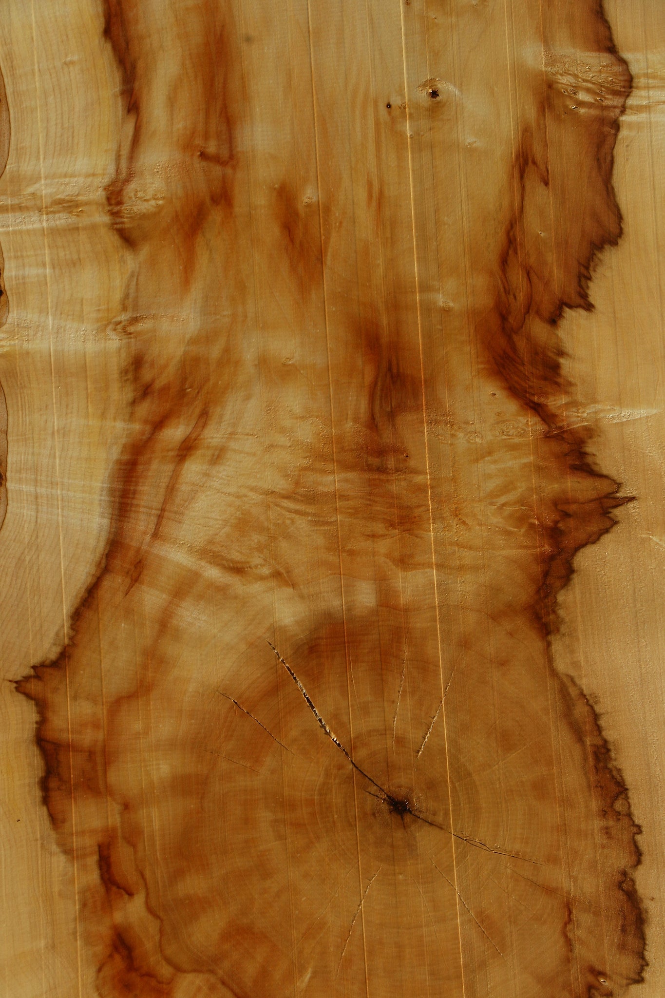 Box Elder Live Edge Mini Slab
