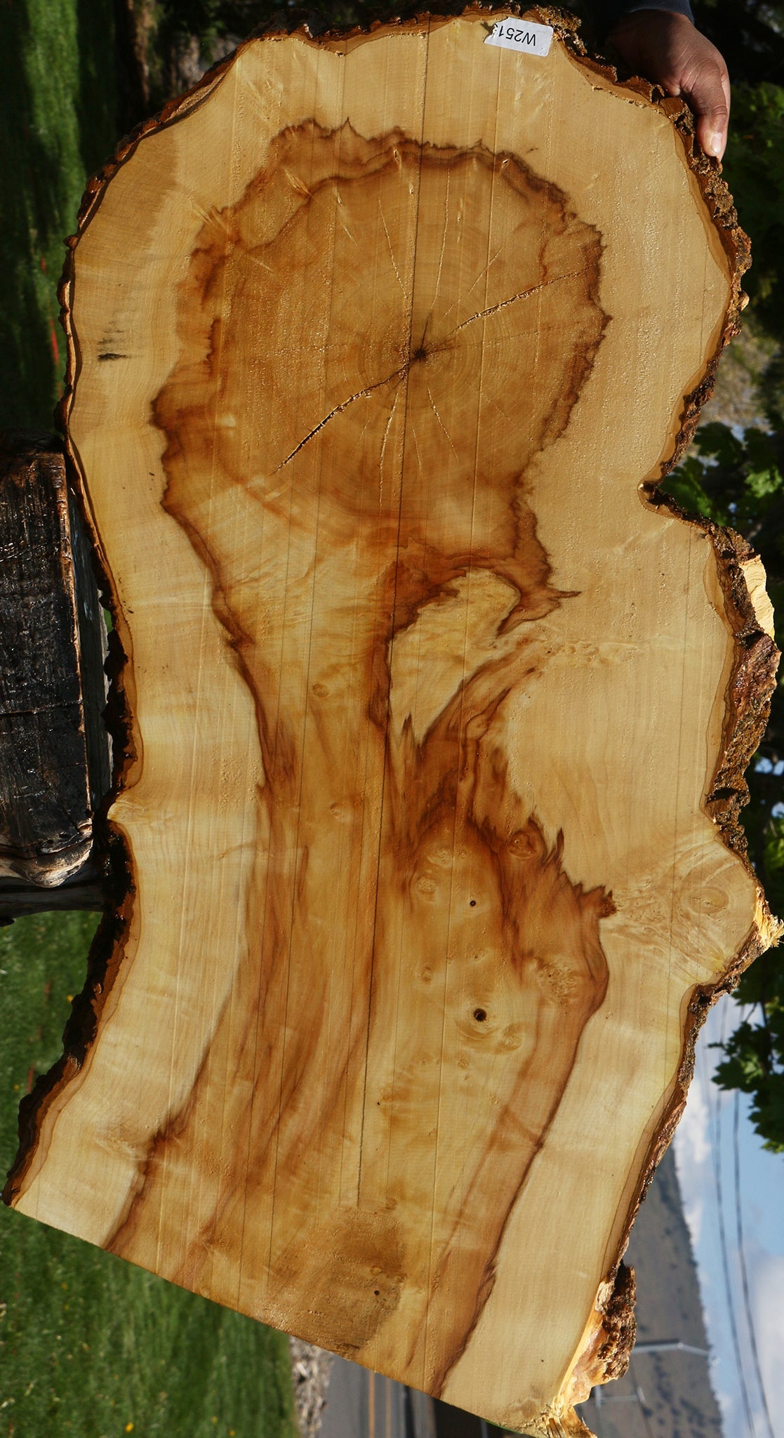 Box Elder Live Edge Mini Slab