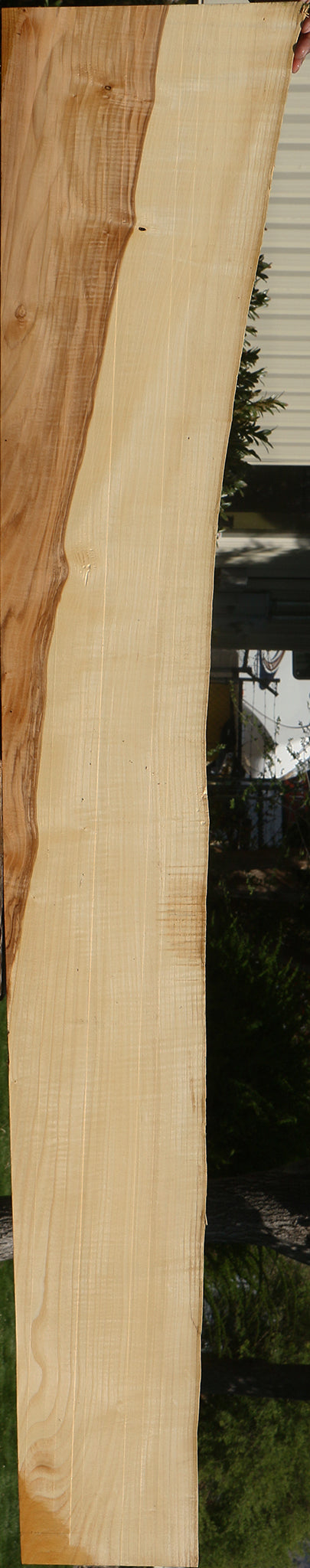 Extra Fancy Ash Live Edge Slab