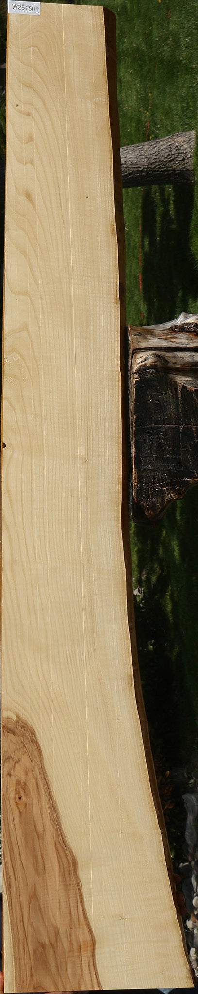 Extra Fancy Ash Live Edge Slab