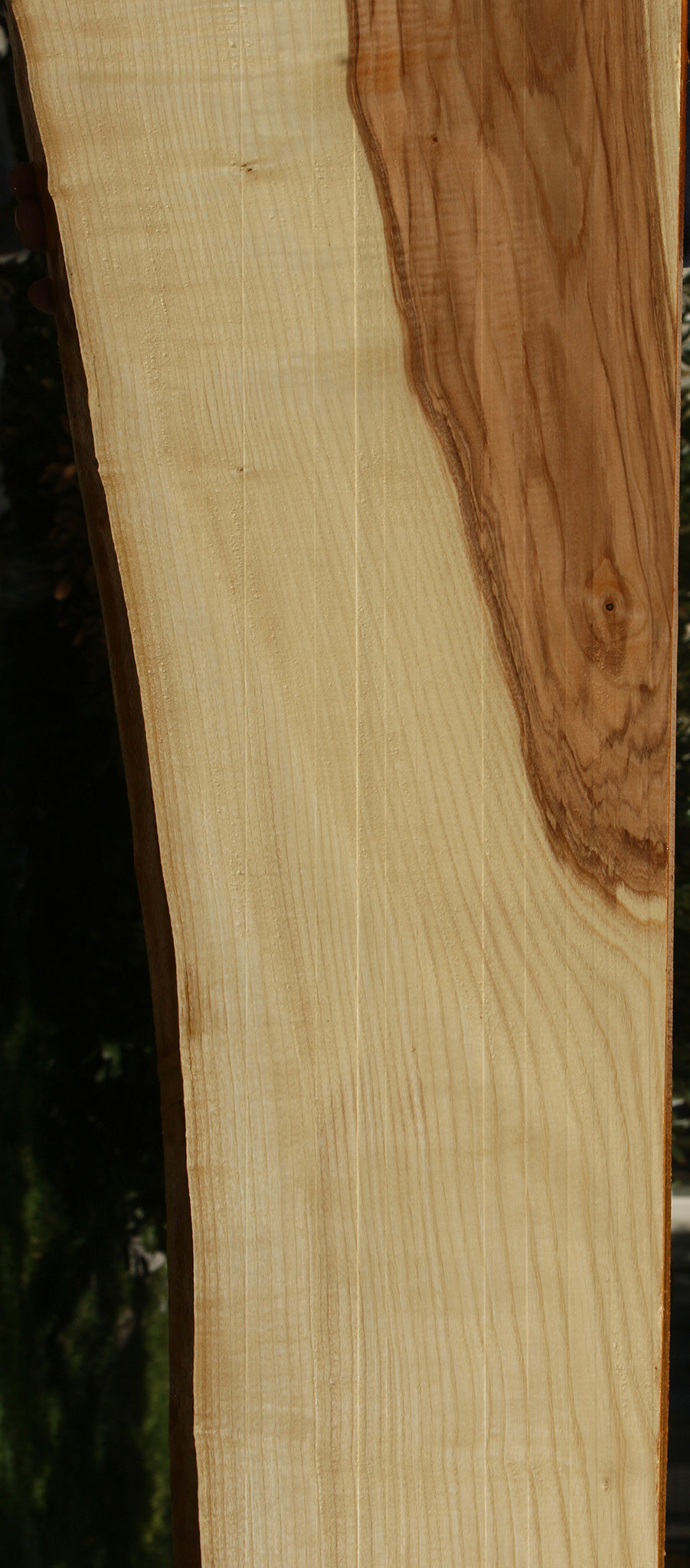 Extra Fancy Ash Live Edge Slab