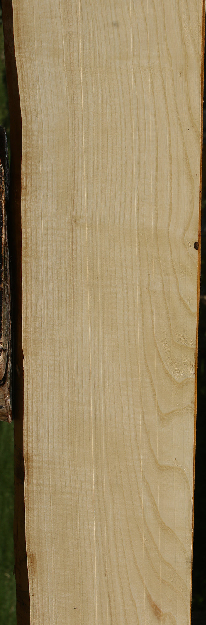 Extra Fancy Ash Live Edge Slab