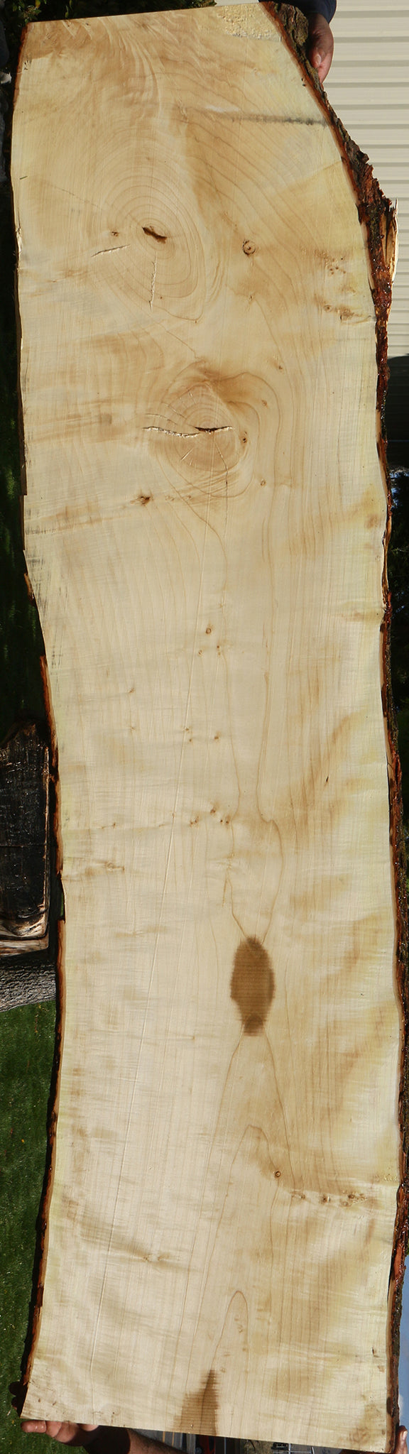 Extra Fancy Silver Maple Live Edge Slab