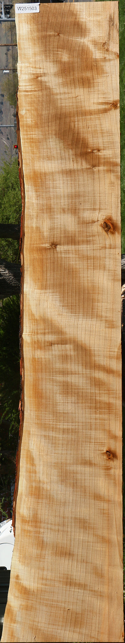Extra Fancy Quartersawn Maple Live Edge Slab