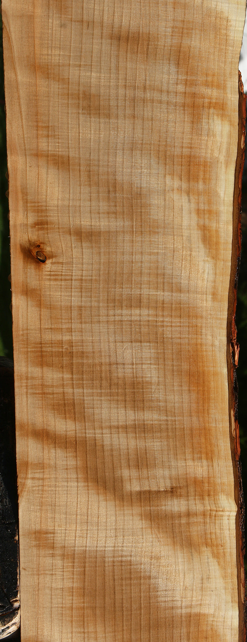Extra Fancy Quartersawn Maple Live Edge Slab