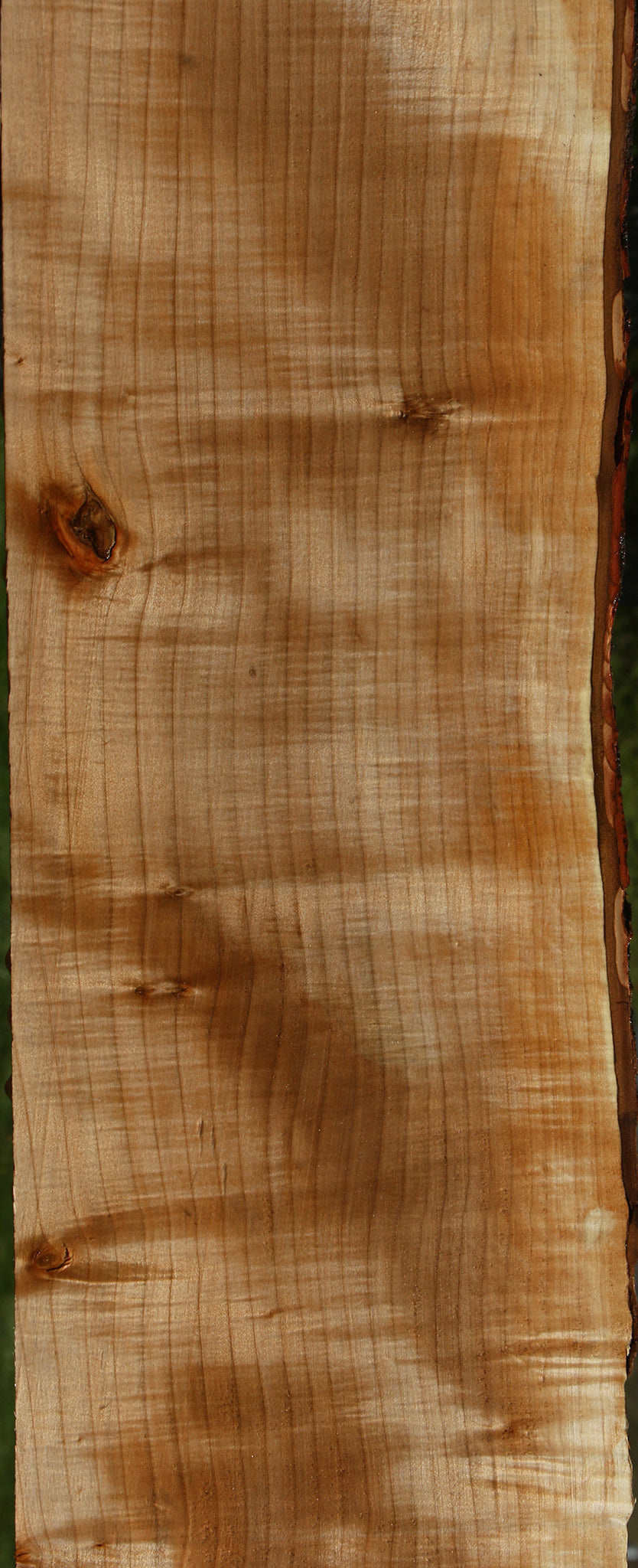 Extra Fancy Quartersawn Maple Live Edge Slab