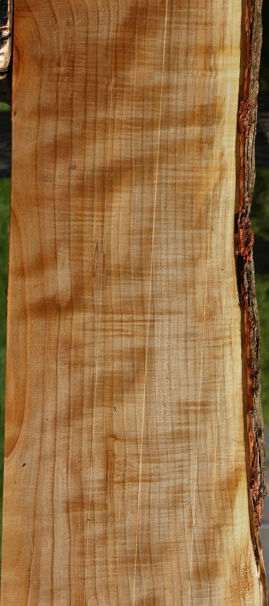 Extra Fancy Quartersawn Maple Live Edge Slab