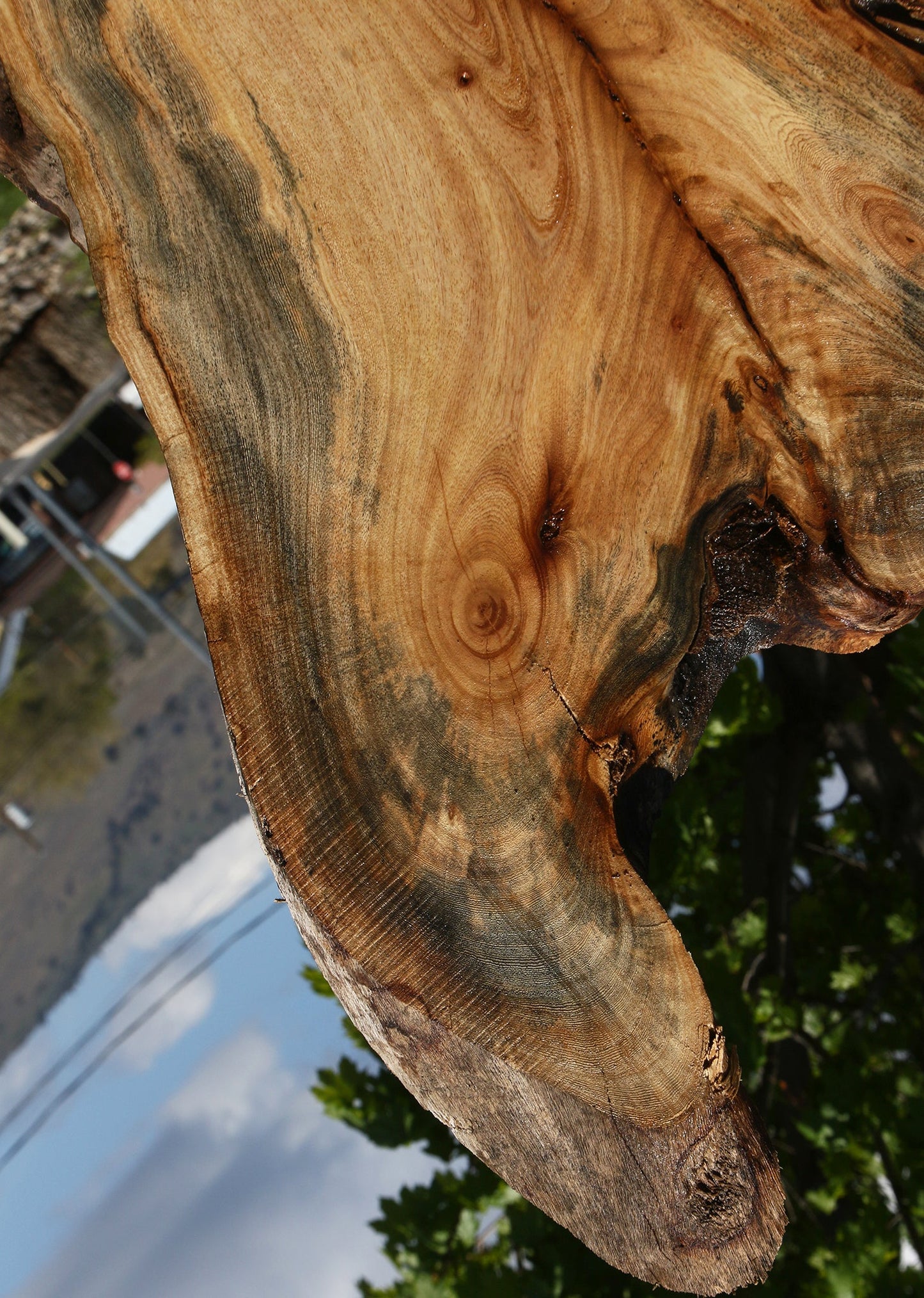 Rustic Hackberry Live Edge Slab