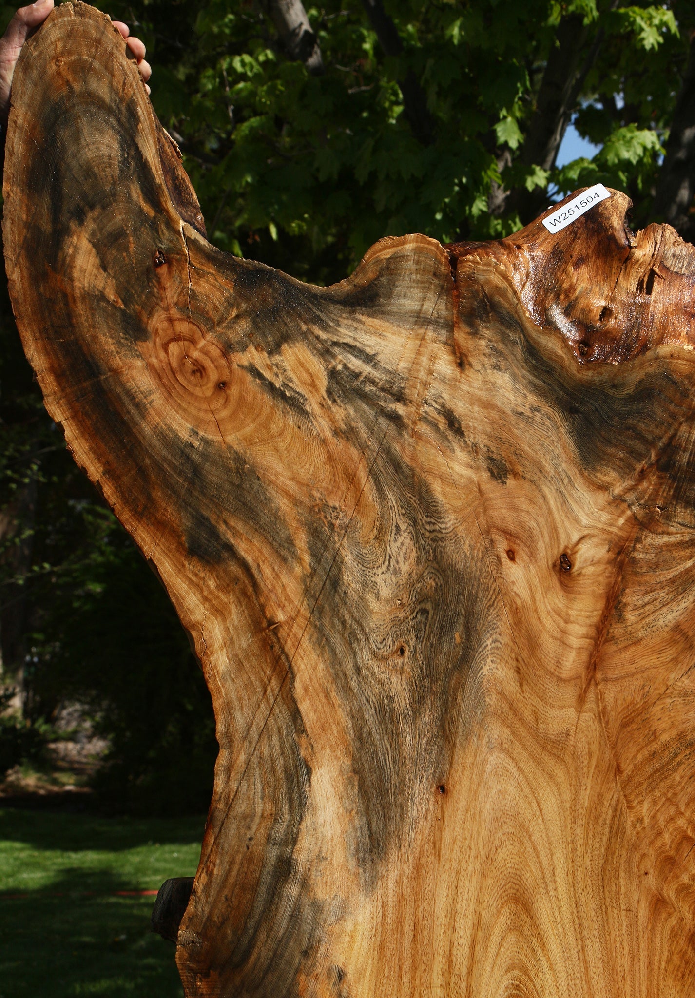 Rustic Hackberry Live Edge Slab