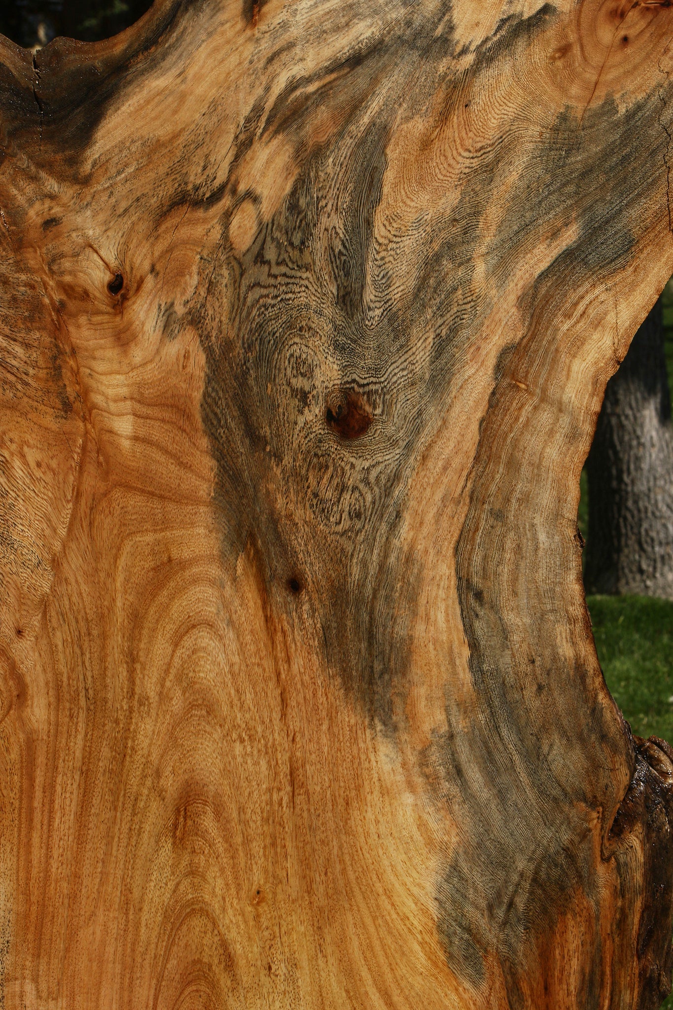 Rustic Hackberry Live Edge Slab