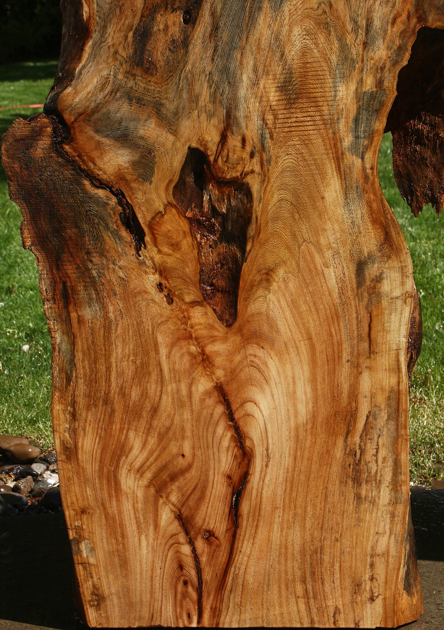 Rustic Hackberry Live Edge Slab