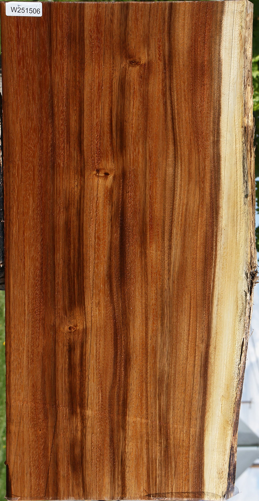 Monkeypod Live Edge Mini Slab
