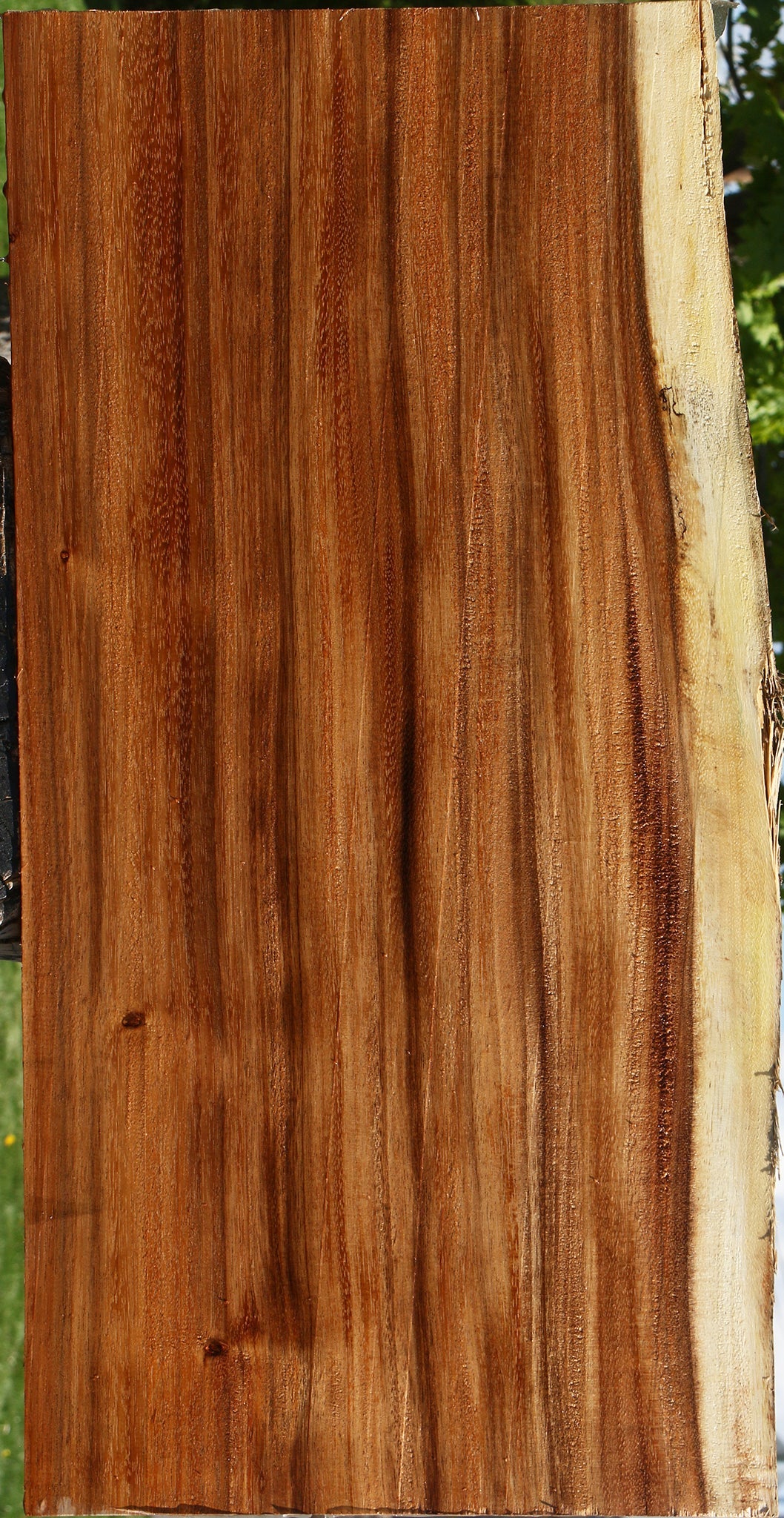Monkeypod Live Edge Mini Slab