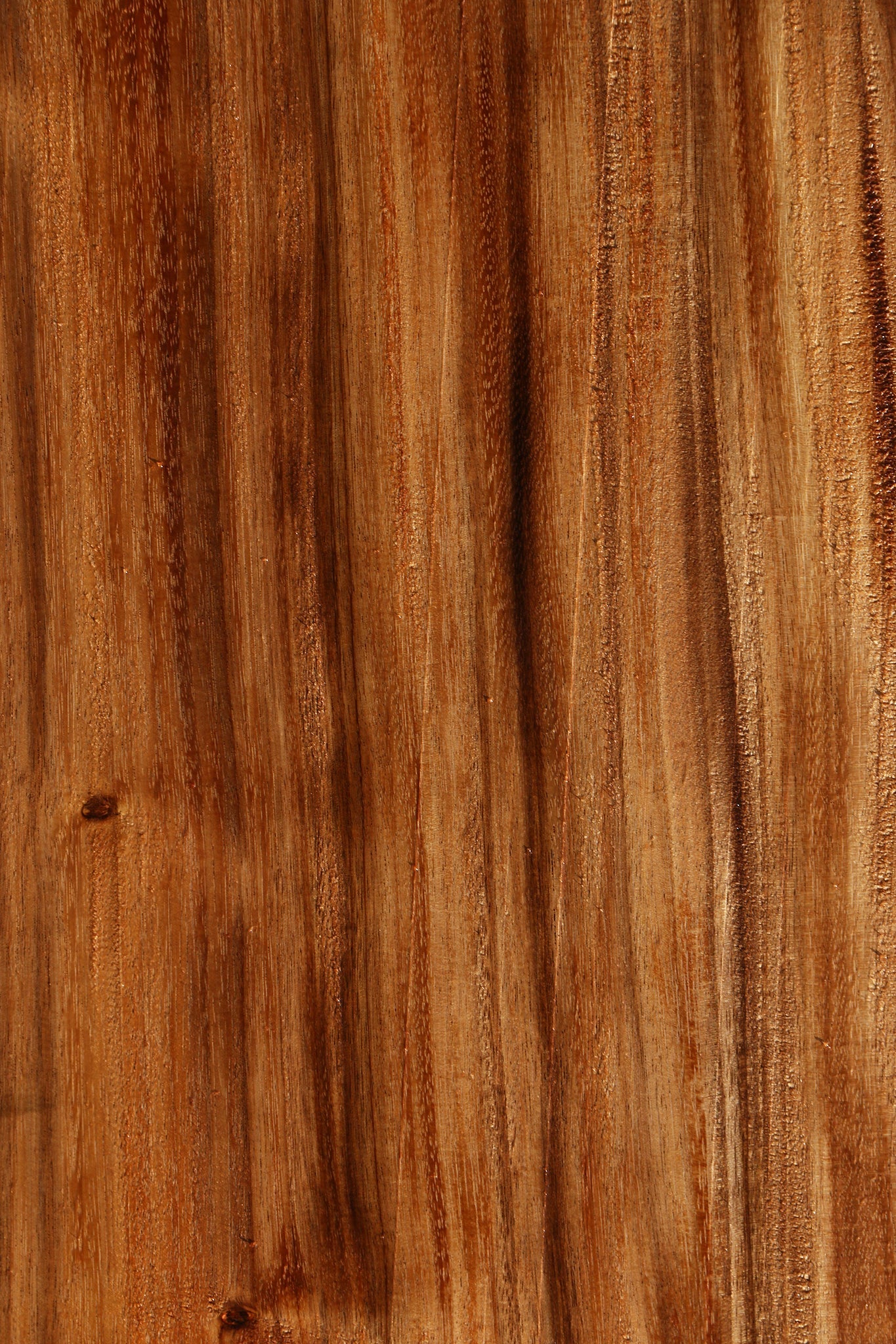 Monkeypod Live Edge Mini Slab